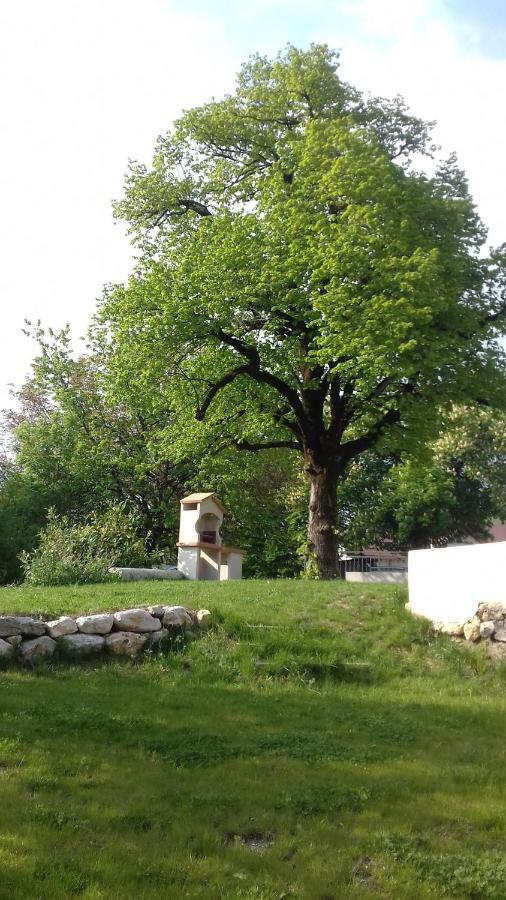 Résidence du Château Copponex Esterno foto
